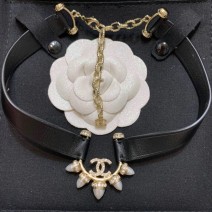 Chanel Necklace CN22043
