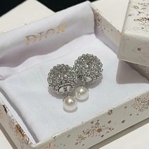 Dior Earrings DE08